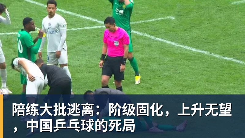 陪练大批逃离：阶级固化，上升无望，中国乒乓球的死局