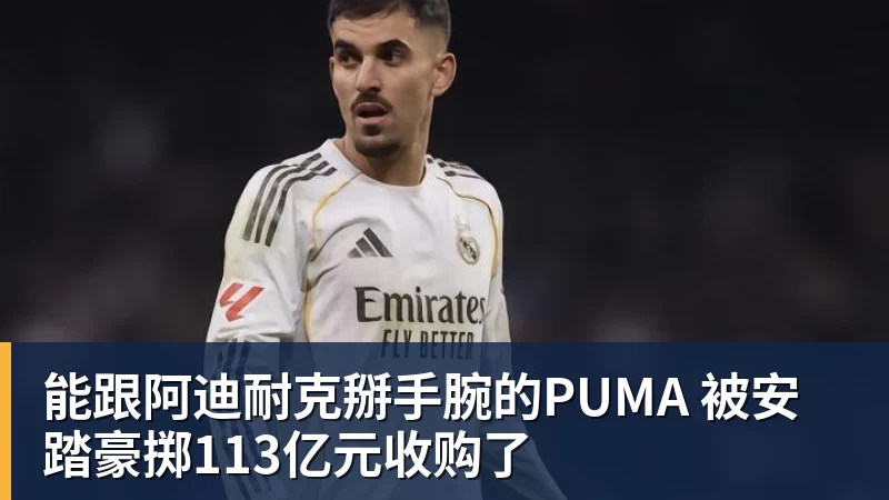 能跟阿迪耐克掰手腕的PUMA 被安踏豪掷113亿元收购了 能跟阿迪耐克掰手腕的PUMA 被安踏豪掷113亿元收购了